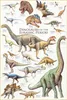Poster - Educational - Éducation - Dinosaures - Jurassic Voir les images du produit 1