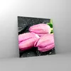 Bilder auf glas - Tulpen Tau Steine Pflanze - 40x40cm - Produktbild-Vorschau 4