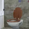 Benkstein WC-Sitz MDF Treibholz Produktbild-Vorschau 10