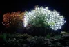 Two trees decorated with LED lights at night, one with white lights and the other with orange lights. Produktbild-Vorschau