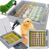 Inkubator automatyczny wylęgarka owoskop klujnik piskląt Podgląd zdjęcia produktu 1