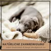Supravit Natürlicher Kauknochen Kaffeeholz XS | Mehr als Produktbild-Vorschau 4
