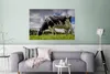 MuchoWow® Poster Kuh - Gras - Schwanz - Tiere 120x80 cm - Produktbild-Vorschau 5