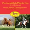 Scheidler horse-direkt Ingwer-Teufelskralle Liquid, für Produktbild-Vorschau 6