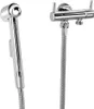 A chrome-plated hand shower and a double valve with a cistern water connection. Anteprima dell’immagine prodotto