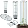Prosperplast Prosperplast-Tomatenschutz-Set Produktbild-Vorschau 4
