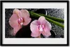 Bild 60x40 MDF-Rahmen Wandkunst Orchid Blumen Orchid Zen Produktbild-Vorschau 1