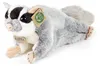 Plüsch-Fliegendes Eichhörnchen 30 cm umweltfreundlich Produktbild-Vorschau 3