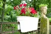KHW Geländerblumenkasten Flowerclip XL aus hochwertigem Produktbild-Vorschau 8