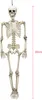 Squelette mobile Halloween Party Deco blanc 99x28x7cm - Voir les images du produit 3