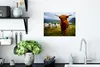 MuchoWow® Poster Schottisches Hochlandrind - Leicht - Schaf Produktbild-Vorschau 3