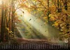 Wald - Erholung für Mensch und Tier - 2027 - Kalender DIN Produktbild-Vorschau 4