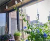 Plants hanging on a balcony with a city view. Náhled obrázku produktu