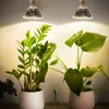 26W 200 LED Pflanzenlampe Sonnenlicht E27 Zimmerpflanzen Produktbild-Vorschau 8