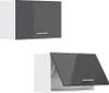Two kitchen wall cabinets shown against a white background. One is closed, and the other is open. Náhled obrázku produktu