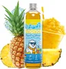 Belissia Slush Eis Sirup 250ml Konzentrat - Ananas - sehr Produktbild-Vorschau 1