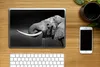 MuchoWow® Laptop Aufkleber Sticker Cover Elefant - Wasser - Produktbild-Vorschau 2