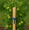 Ogrodzenia Wiklinowe Paliki Bukowe 2,5×2,5×120 cm 25 Szt. – Podgląd zdjęcia produktu 7