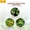 Solabiol® Grundstoff Lecithin Rosen-Spray anwendungsfertig Produktbild-Vorschau 5