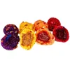 LK Baits CUC! Uvetta 50g Gusto Anteprima dell’immagine prodotto 2