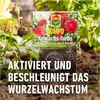 COMPO AGROSIL Wurzel-Turbo 0,05 kg Produktbild-Vorschau 7