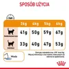 Royal Canin Hair & Skin Care, Adult, 4 kg, Antioxidantien Produktbild-Vorschau 12