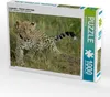 Calvendo Leoparden – Kleiner unterwegs 1000 Teile Puzzle Produktbild-Vorschau 1