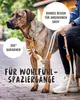 RUDELKÖNIG Führleine Emma beige – 2,30 m verstellbare Produktbild-Vorschau 4