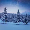 Unser Wald / Forest Nature 2027 Produktbild-Vorschau 6