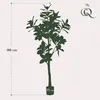 Sztuczna roslina Magnolia Grandiflora Ø180cm - sztuczna Podgląd zdjęcia produktu 3
