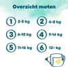 Pampers Harmonie – Größe 5 – Megapackung – 62 Stück – 11/16 Produktbild-Vorschau 3