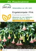 SAFLAX - Engelstrompete / Pink - 10 Samen - Mit keimfreiem Produktbild-Vorschau 1