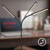 A modern LED floor lamp with multiple adjustable arms is shown in a home office setting, with a laptop and desk in the background. Anteprima dell’immagine prodotto