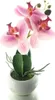 GASPER Orchidee Lila im runden Topf 23 cm - Kunstblumen Produktbild-Vorschau 1