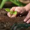 Kokoserde als Block gepresste Blumenerde aus Kokosfasern 5 Produktbild-Vorschau 7