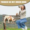 Hundetrinkflasche für Unterwegs,Isolierte Edelstahlflasche Produktbild-Vorschau 5