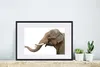 MuchoWow® MuchoWow® Gerahmtes Poster Elefant - Zähne - Weiß Produktbild-Vorschau 4