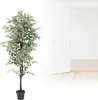 Blanc Ficus Benjamina Plante Arbre Artificielle Artificiel Voir les images du produit 4