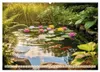 Oase im Garten (Wandkalender 2027 DIN A2 quer), CALVENDO Produktbild-Vorschau 7