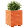 Möbel Pflanzkübel Wachsbraun 40x40x49,5 cm Massivholz Produktbild-Vorschau 4