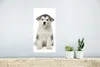 MuchoWow® Poster Husky-Welpe auf weißem Hintergrund 20x40 Produktbild-Vorschau 5