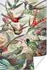 MuchoWow® Poster Kolibri - Vintage - Ernst Haeckel - Vogel Produktbild-Vorschau 1