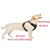 Heikoeco® Hundebezug, reflektierender und atmungsaktiver Produktbild-Vorschau 3