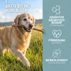A golden retriever dog running in a grassy field with a stick in its mouth, with text and icons on the right side of the image. Produktbild-Vorschau