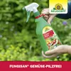 Neudorff Fungisan Gemüse-Pilzfrei 1 Liter Bekämpfung von Produktbild-Vorschau 6