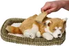 Perfect Petzzz 96538 Shiba Inu Produktbild-Vorschau 4