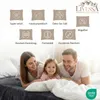 Livessa Jersey Spannbettlaken 140x200 cm 100% Baumwolle Produktbild-Vorschau 8