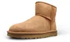 UGG scarpe Classic Mini II Chestnut, 1016222CHE Anteprima dell’immagine prodotto 24