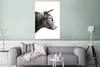 MuchoWow® Poster Schottisches Hochlandrind - Tiere - Kuh Produktbild-Vorschau 5