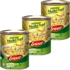 Erasco Marmite de poulet aux nouilles Tendre poulet aux Voir les images du produit 1